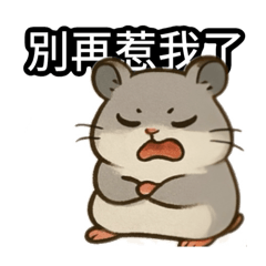 我們這一家「黃金鼠版」