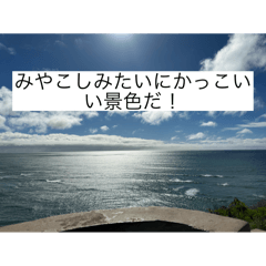 kenshin_20250327170228