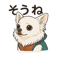 HarukoPuchi