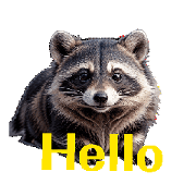 raccoon dog move J