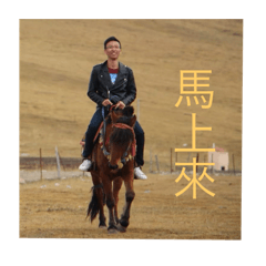 羅家5678