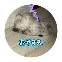 kinako_20250327205004