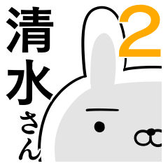 Usable sticker for shimizu 2