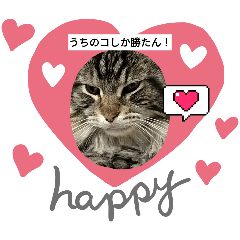 yuzu_20250327211623