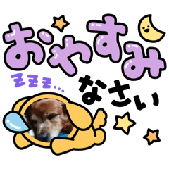 coco_20250327211033