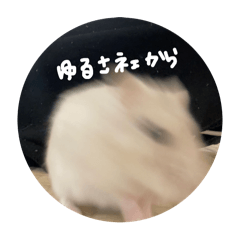 important_20250327221851