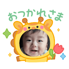 sho_20250327231133