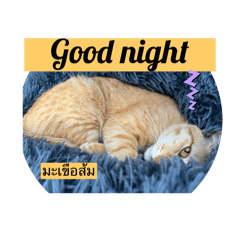 Ball_MABUYO2000_20250328115005