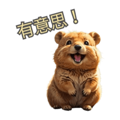 potato_20250327184500