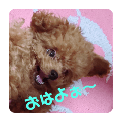 yuki_20250327235015