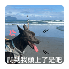 小嘿Hey日常