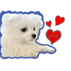 lulu_stickers2