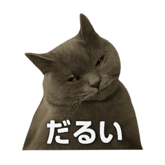 sk_20250327221247