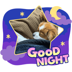 happy_20250328065050