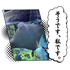 yuka_20250328044417