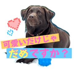 rika_20250328115255