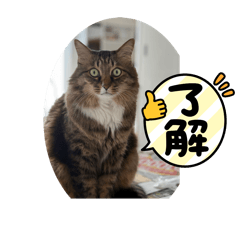 taka_20250328193020