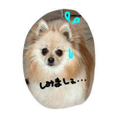 mirei_20250328192936