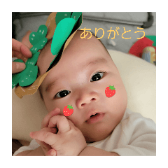 misa_20250328152311