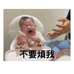 絨絨寶動起來