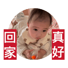湯圓要出院了，回家靜養真好。祝好運！