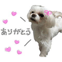 karin_20250328162902