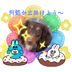 cocoa_20250328162413