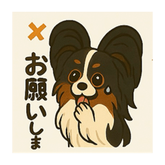 Sho_20250328182358