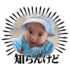 pochi_20250328181107