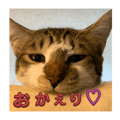 まるポンスタンプ