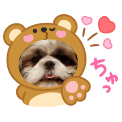 chacha_20250328165159