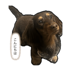 ruru_20250328224149