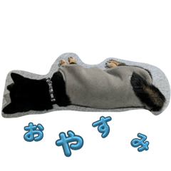 mana_20250328
