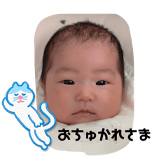 lemon_20250329000250