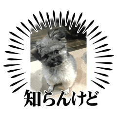 moco_20250328171634