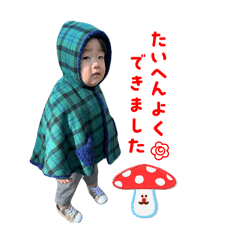 shin_20250327201050