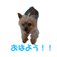 SAYAKA_20250328172904