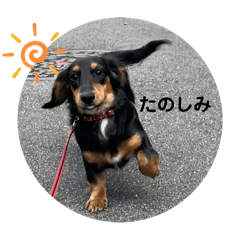 haru_20250328202741