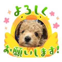 COCO_20250328230608