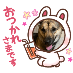 HARU_20250328203354