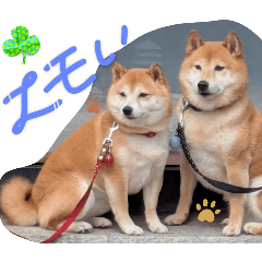 akira_20250329093029