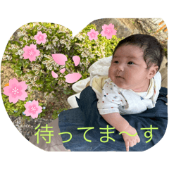 mimi_20250328210842