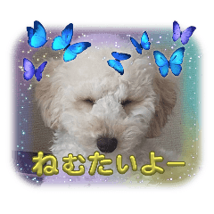 nana_20250328183659