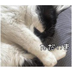 mame very cute