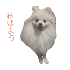 ton_20250328234437