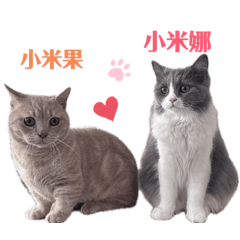 米果米娜小可愛