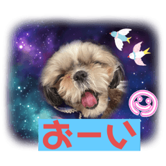 Coco_20250329071528