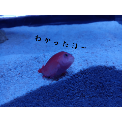 airi_20250328200602