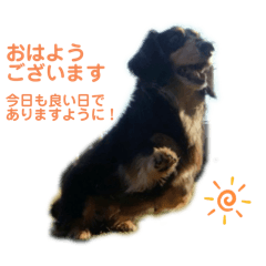 mina_20250329071756