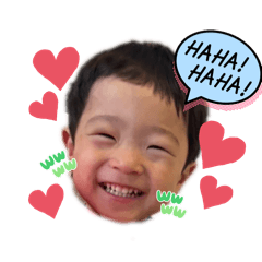 hachi_20250329002356